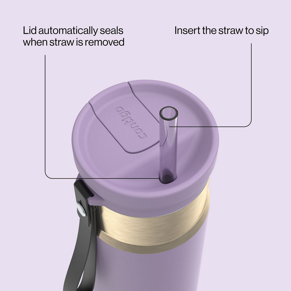 24oz-snapsealtm-bottle-n0 bevt0009_contigo_2231080_snapseal_24oz_straw_purplecarrot_atf4